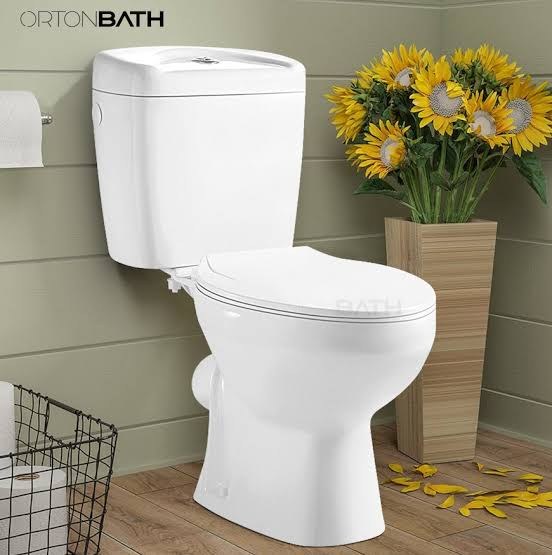 [BH-PLB-010] Toilet Bowl Floor-Mount Dual-Flush